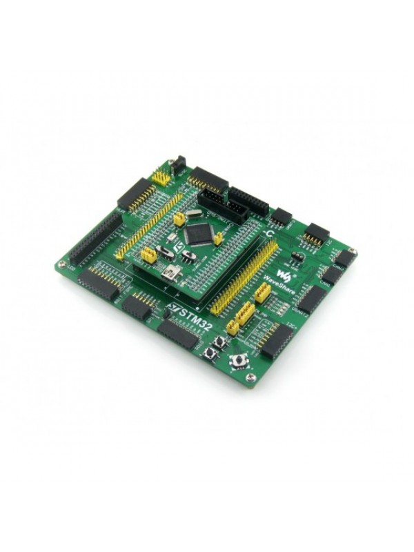 STM32F4 Development Board